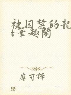 被囚禁的龙txt笔趣阁