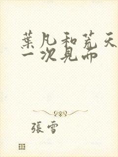 叶凡和荒天帝第一次见面