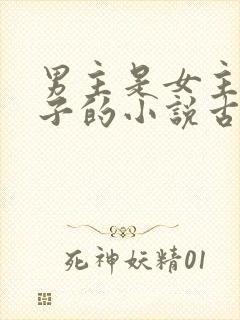 男主是女主小叔子的小说古文