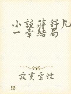 小说蒋舒凡第十一章结局封面