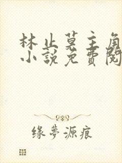 林止莫主角穿越小说免费阅读