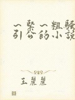 ～紧～粗骚媳勾引公的小说