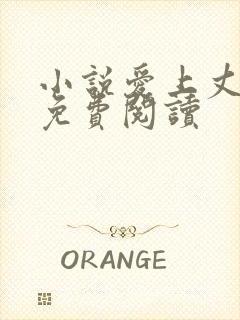 小说爱上丈母娘免费阅读