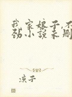 我家娘子,不对劲小说未删版