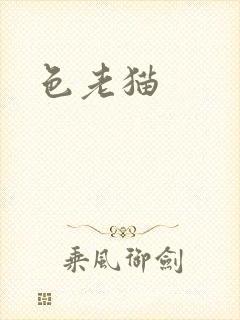 色老猫封面