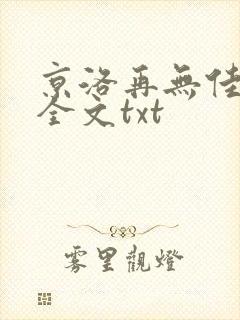 京洛再无佳人1全文txt