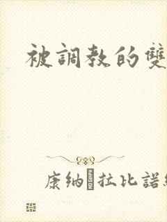 被调教的双性人