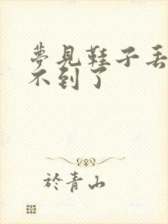 梦见鞋子丢了找不到了封面