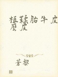 植鞣胎牛皮是什么皮