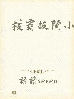 校霸扳开小班长封面