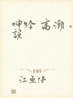 呻吟 高潮 小说