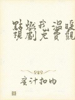 点燃我温暖你电视剧免费观看不卡