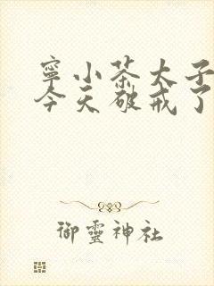 宁小茶太子殿下今天破戒了吗免费阅读