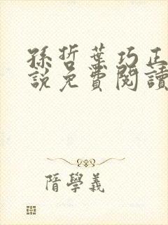 孙哲叶巧正版小说免费阅读