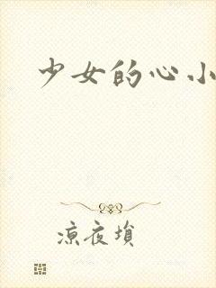 少女的心小说封面