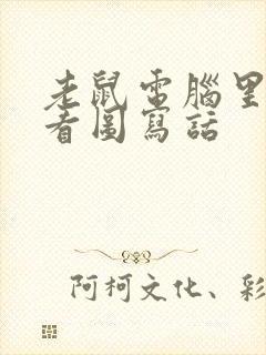 老鼠电脑里的猫看图写话