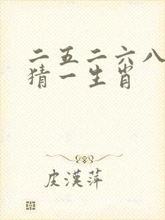 二五二六八坐中猜一生肖