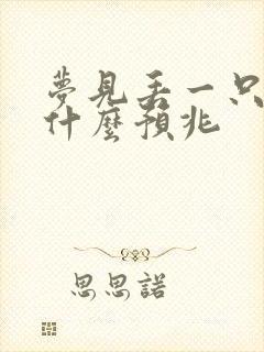 梦见丢一只袜子什么预兆