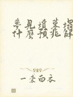 梦见坟墓塌陷是什么预兆解梦封面