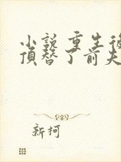 小说 重生后我顶替了前夫白月光