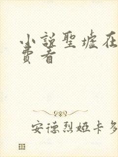 小说圣墟在线免费看封面