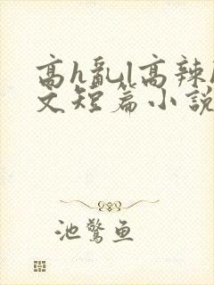 高h乱l高辣h文短篇小说男男
