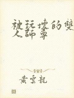 被玩坏的双性美人师尊封面