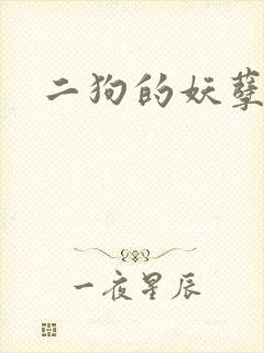 二狗的妖孽人生