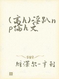 (高h)淫趴np伦h文