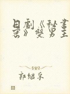 日剧《秘书的秘密》双男主电视剧