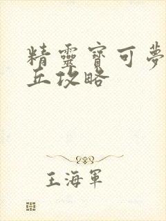 精灵宝可梦皮卡丘攻略