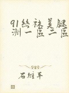 91丝袜美腿亚洲一区二区