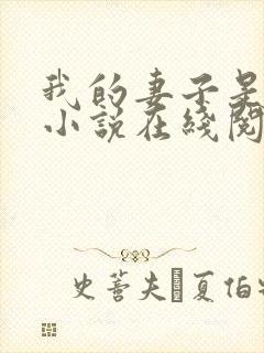 我的妻子是永美小说在线阅读封面