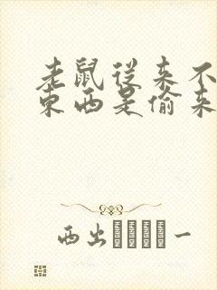 老鼠从来不知道东西是偷来的封面