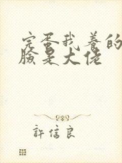 完蛋我养的小白脸是大佬封面