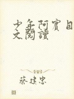 少年阿宾目录全文阅读