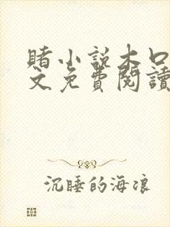 赌小说木口银全文免费阅读笔趣阁封面