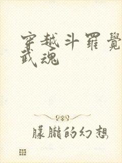 穿越斗罗觉醒剑武魂