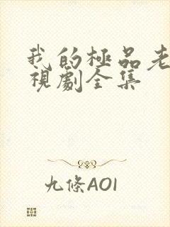 我的极品老妈电视剧全集