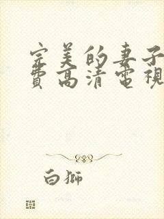 完美的妻子4免费高清电视剧