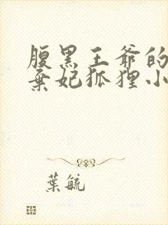 腹黑王爷的绝色弃妃狐狸小姝完整版