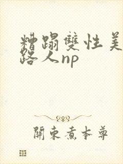 糟蹋双性美人多路人np封面