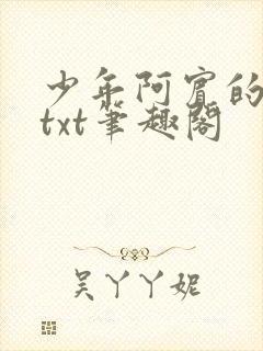 少年阿宾的小说txt笔趣阁封面