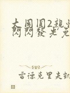 大团圆2亲情会闪闪发光免费封面