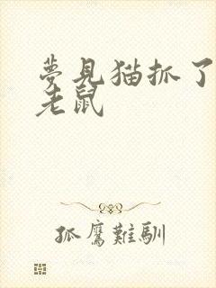 梦见猫抓了一只老鼠封面