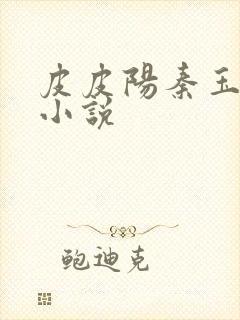 皮皮阳秦玉洁的小说封面