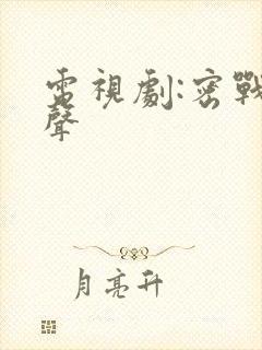 电视剧:密战无声