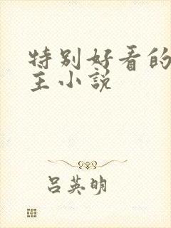 特别好看的双男主小说