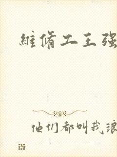 维修工王强张婷封面