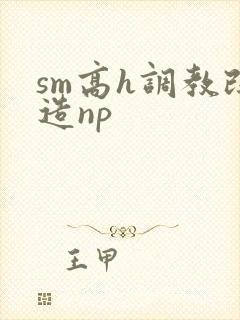 sm高h调教改造np封面